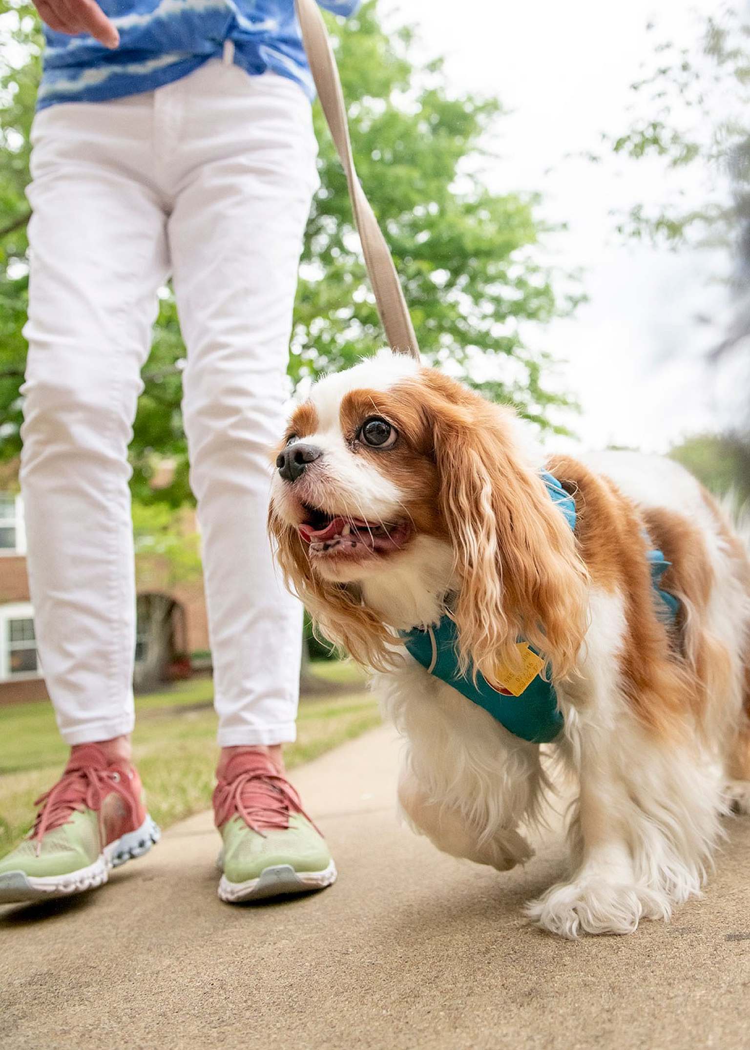 Services & Amenities The Village at Germantown