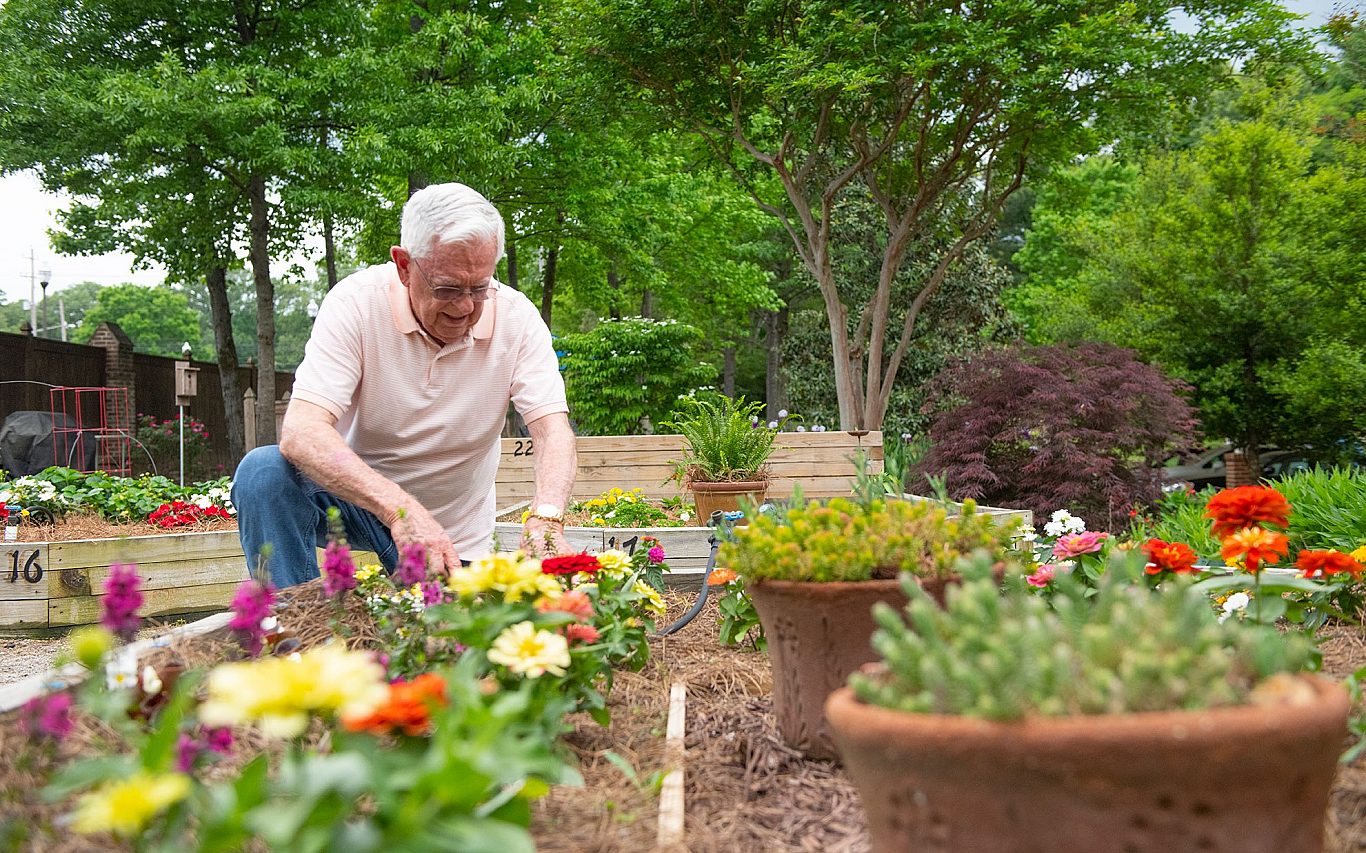 Village Germantown Gardening 3