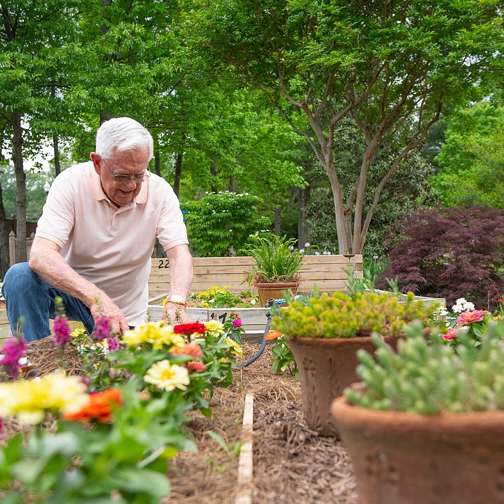 Village Germantown Gardening 3