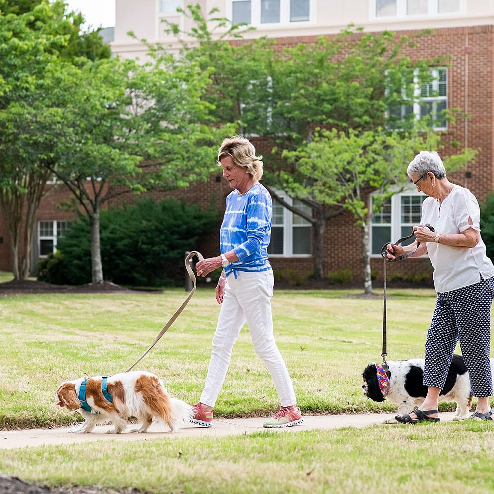 Village Germantown Pet Friendly 4