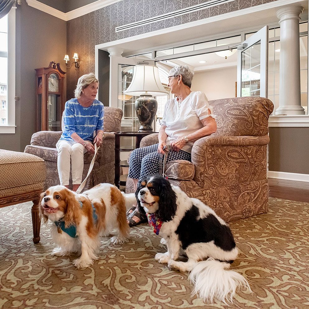 Village Germantown Pet Friendly Lobby